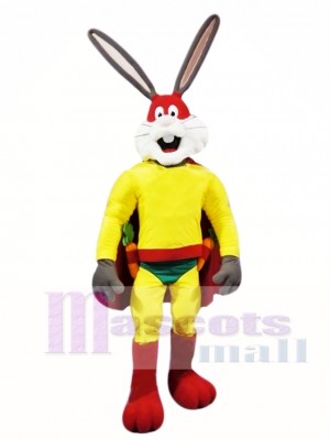 Superhero Rabbit Mascot Costume
