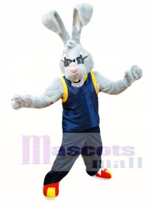 Power Rabbit Mascot Costume