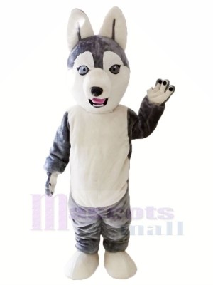 Cute Grey Husky Dog Mascot Costumes Animal