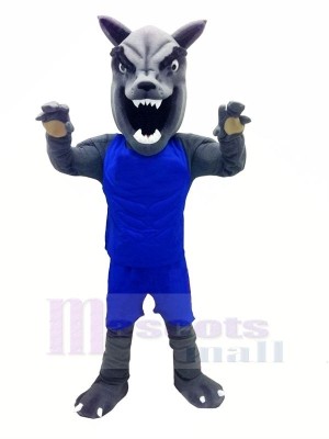 Wolf with Blue Vest Mascot Costumes Cartoon