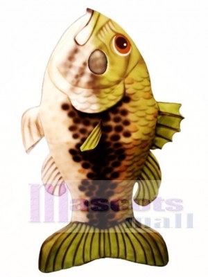 Large Mouth Bass Fish Mascot Costume