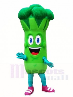 Bruce Broccoli Mascot Costumes Vegetable