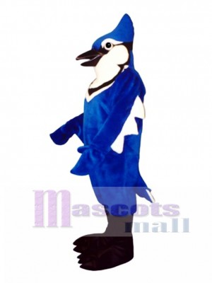 Cute Jennie Blue Jay Mascot Costume