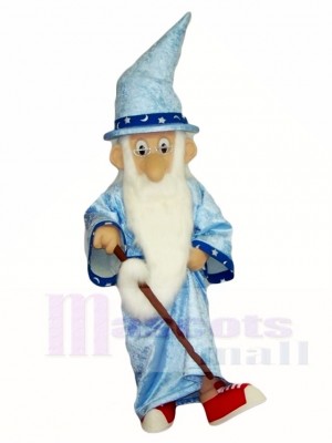 Wizard Mascot Costumes Fantasy