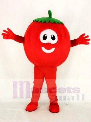 VeggieTales Character Tomato Bob Mascot Costume Cartoon	