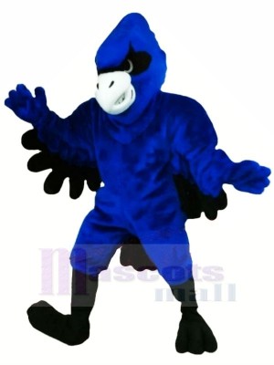 Blue Jay with Black Wings Mascot Costumes