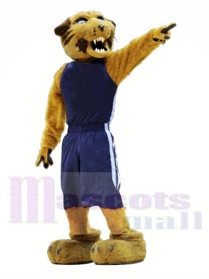 Sport Wildcat with Blue Suit Mascot Costumes Animal