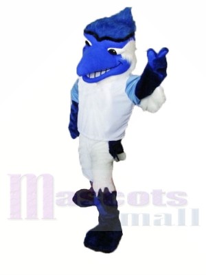 College Blue Jay Mascot Costumnes