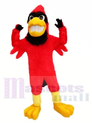 Strong Red Cardinal Mascot Costumes Animal	