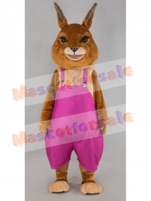 rabbit mascot costume