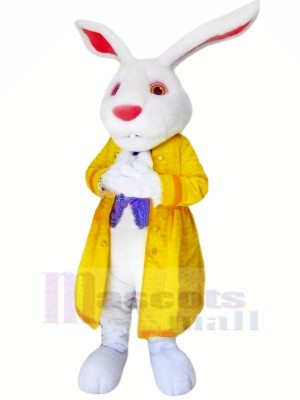Rabbit with Yellow Jacket Mascot Costumes Animal