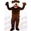 Deep Brown Bear Animal Mascot Costume