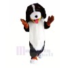 Cute Bernese Mountain Dog Mascot Costumes Animal
