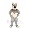 Grey Wolf with Big Nose Mascot Costumes Cartoon	
