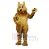 Brown Wolf with Black Eyes Mascot Costumes Cartoon