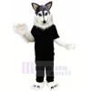 Wolf Husky in Black Mascot Costumes Cartoon