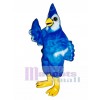 New Blue Jay Mascot Costume