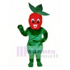 Sherry Strawberry Mascot Costume