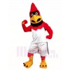 Cardinal Red Bird Mascot Costumes Animal