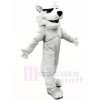Grey Husky Dog Mascot Costumes Animal