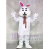 White Rabbit Easter Bunny Mascot Costumes Animal