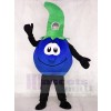 Bobby Blueberry Mascot Costumes Plant Fruit