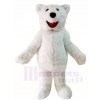  Hairy Polar Bear Mascot Costumes Animal