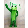 Grasshopper Mascot Costume Insect