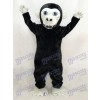 New Black Gorilla Mascot Costume Animal 
