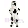 Funny Black and White Cow Mascot Costumes Animal