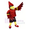 College Cardinal Mascot Costumes