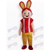Easter Rabbit Animal Adult Mascot Costume