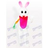 Carrot Easter Bunny Rabbit Animal Adult Mascot Costume
