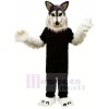 Grey Wolf Husky Mascot Costumes Cartoon