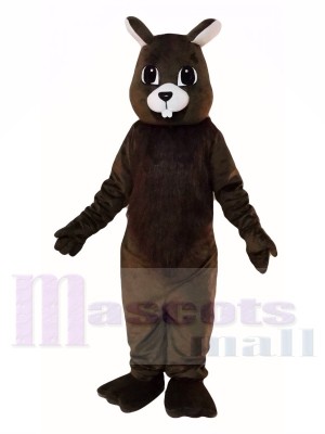 Brown Squirrel Mascot Costumes 