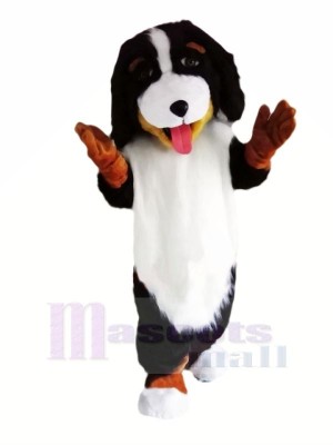 Cute Bernese Mountain Dog Mascot Costumes Animal