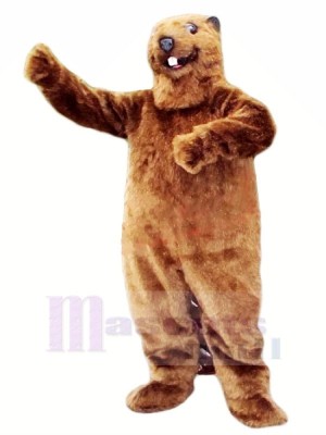 Best Quality Beaver Mascot Costumes Animal