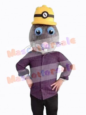 Mole mascot costume