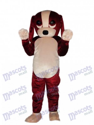 Fortune Dog Mascot Adult Costume Animal