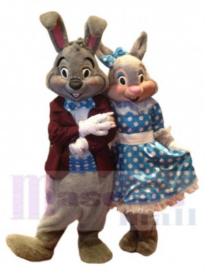 Affectionate Couple Rabbit Mascot Costume Cartoon