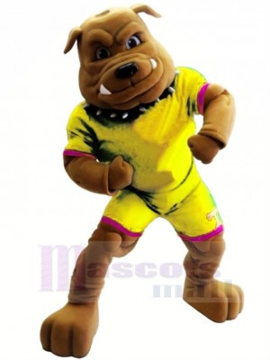 Bulldog Custom in Yellow Animal Mascot Costume