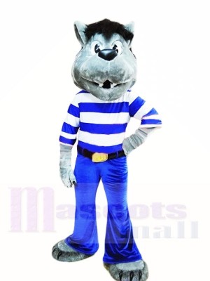 Best Quality Grey Wolf Mascot Costumes 