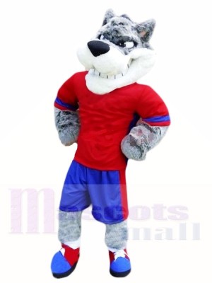Best Quality Wolf Mascot Costumes 