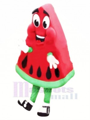 High Quality Watermelon Mascot Costume Cartoon