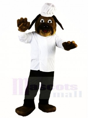 Brown Dog Chef Cook Mascot Costumes Animal