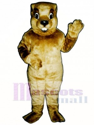 Groundhog Mascot Costume Animal