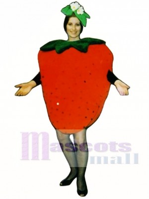Strawberry Mascot Costume Plant