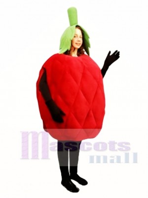 Raspberry Mascot Costume Fruit 
