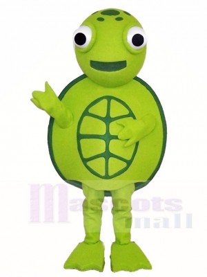 Green Sea Turtle Tortoise Mascot Costumes Ocean Animal