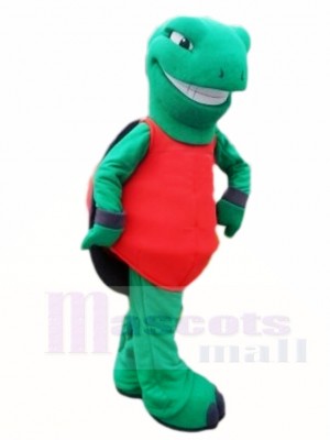 Green Terrapin Tortoise Turtle Mascot Costumes Sea